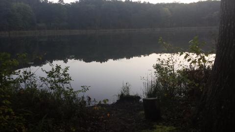 Reid Lake