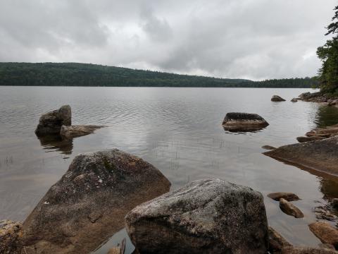 Lake view
