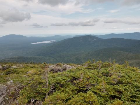 View toward north 