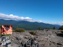 White Cap view with blue berries and rock fall